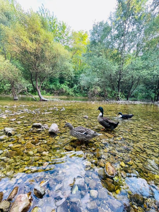 Skala Luxury Rooms Cetinje Kültér fotó